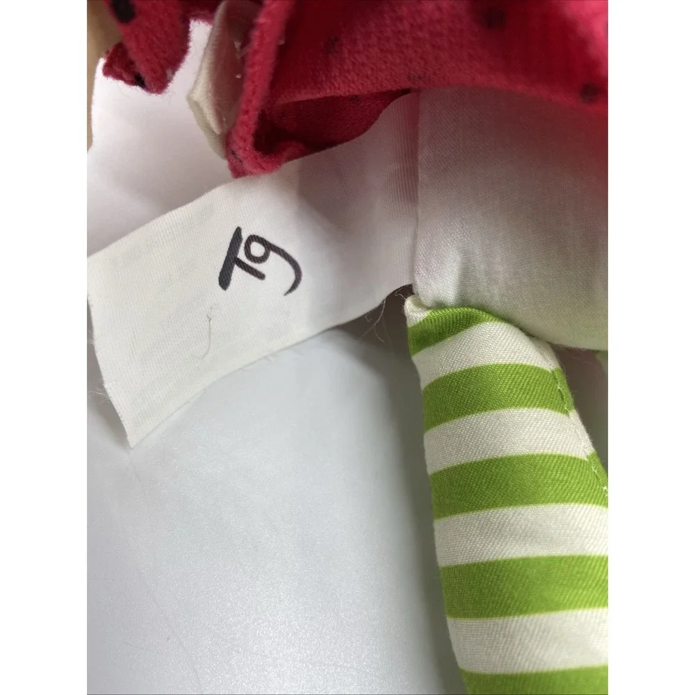 Basic Fun Strawberry Shortcake Plush Rag Doll 2021 Classic Style Red Yarn‎ Hair